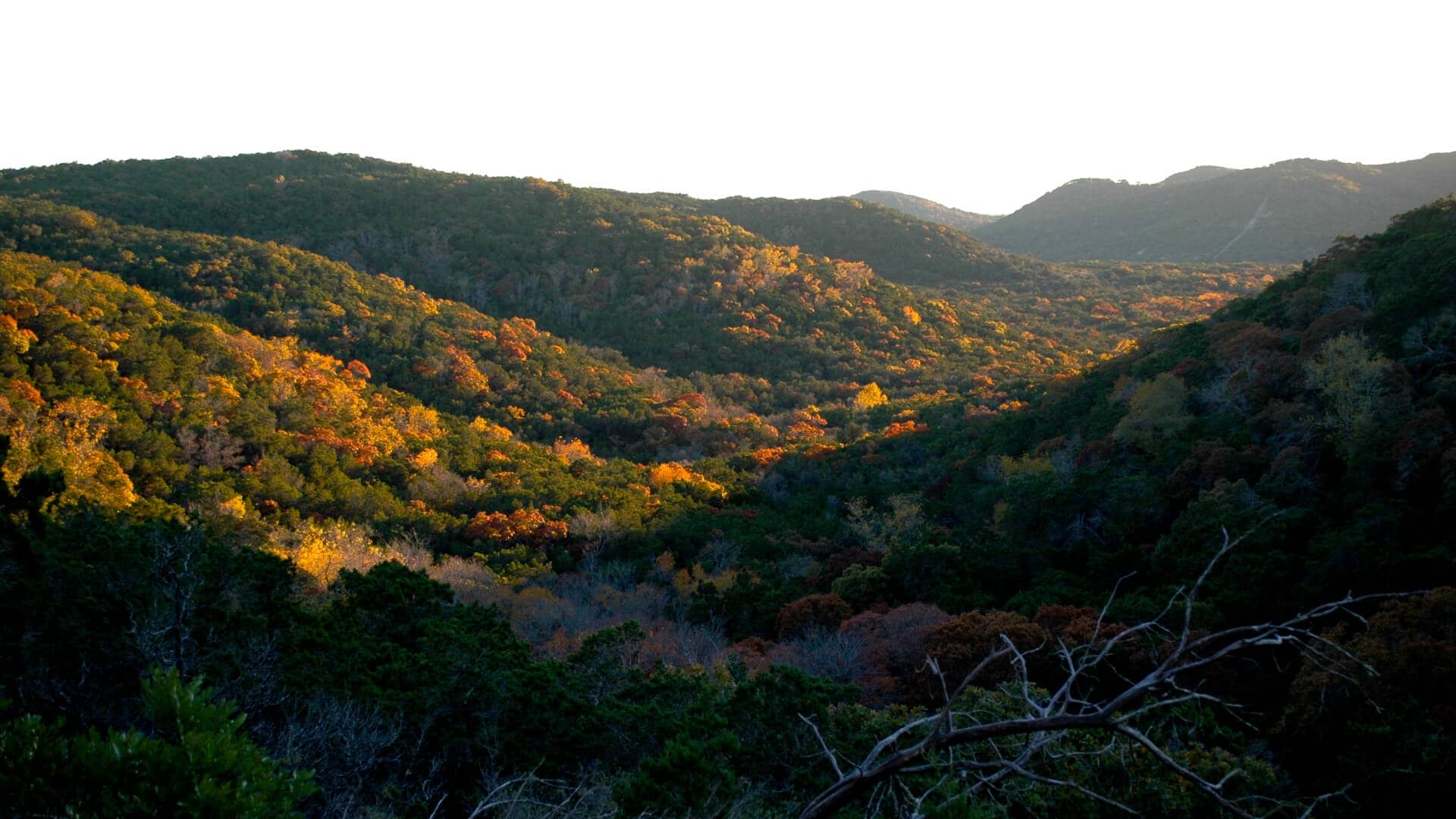 A Texas hill canyon at sunset
