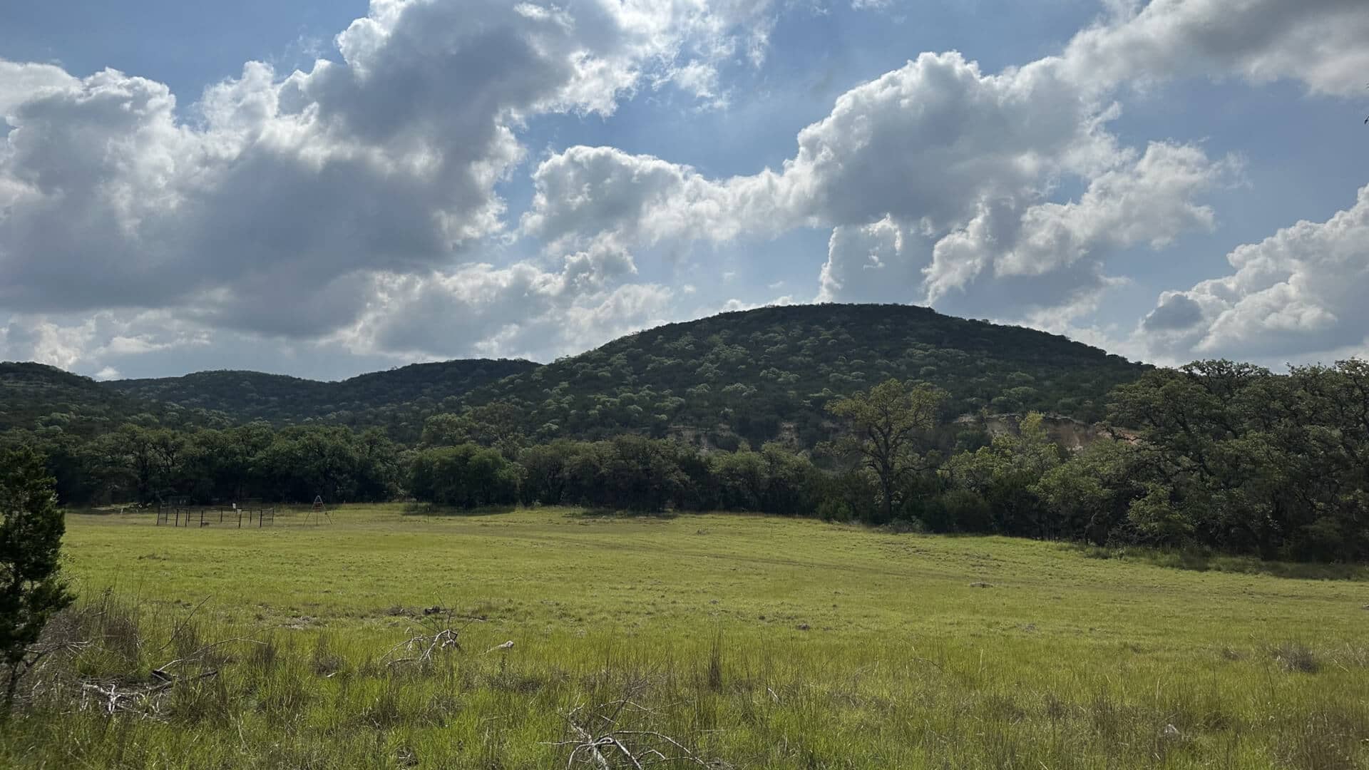 A field of grass with a hill of trees in the background in a sunny cloudy day