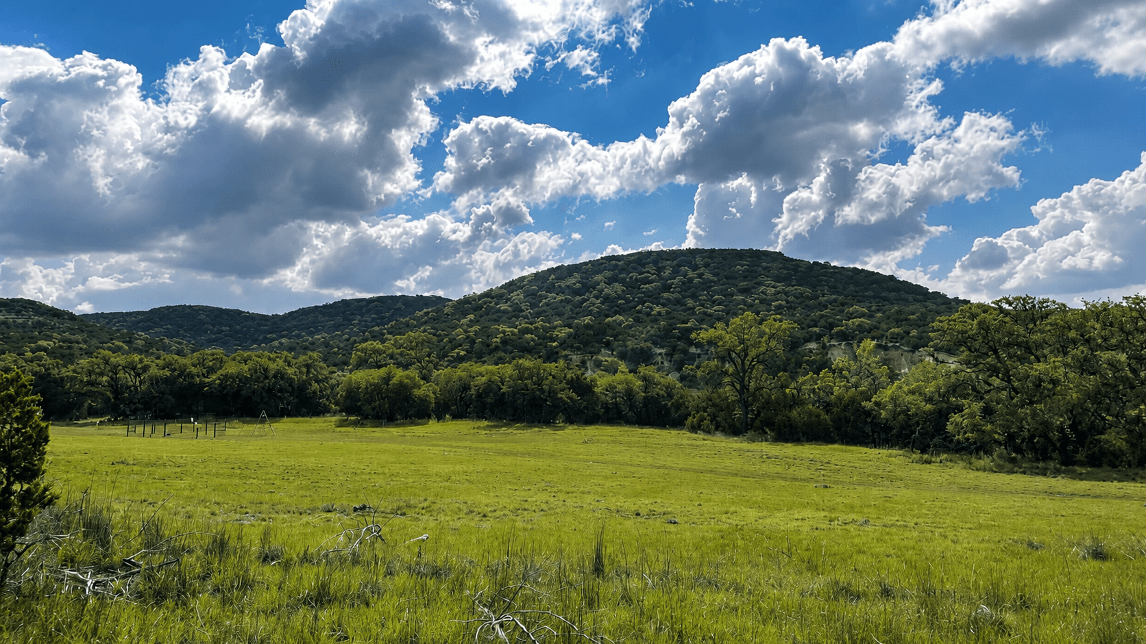 A field of grass with a hill of trees in the background in a sunny cloudy day