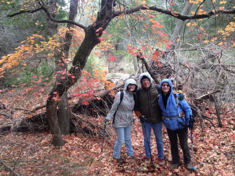 Maple Tree Survey Team