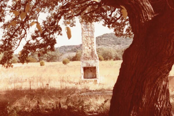 A tree and a chimney sitting in a field left from an old homestead.